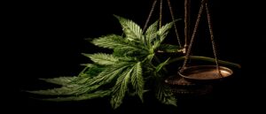 Cannabis Rescheduling Impacts Packaging